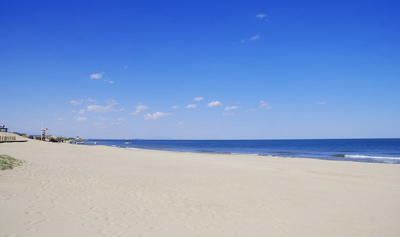 沙丘地貌 广阔的沙质海滩
